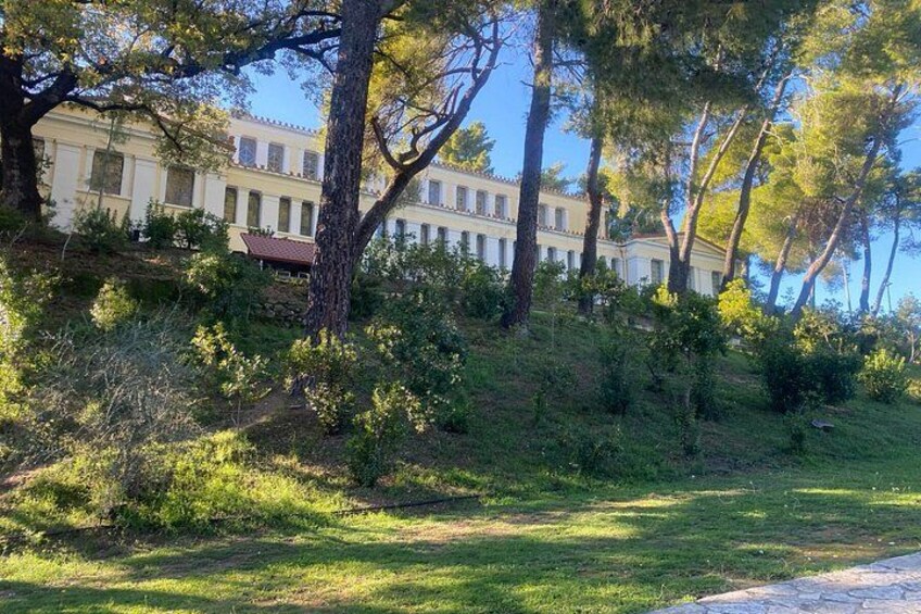 Private Tour and Greek Lunch in Olympia 4