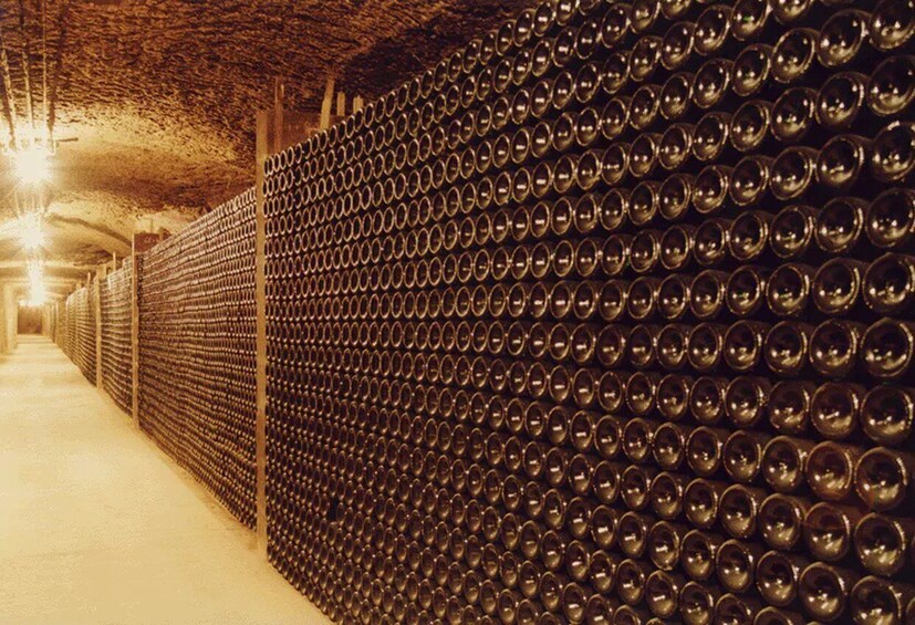 A tunnel lined with rows of spherical objects. 3