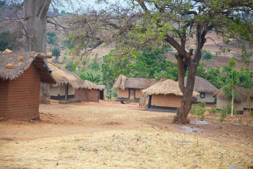 A rural village with thatched-roof huts, a dirt path, and sparse vegetation. 3