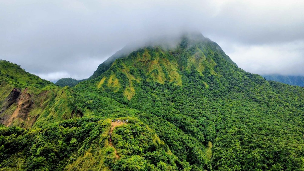 A lush green mountain with a mist-covered peak and a narrow path leading up. 3