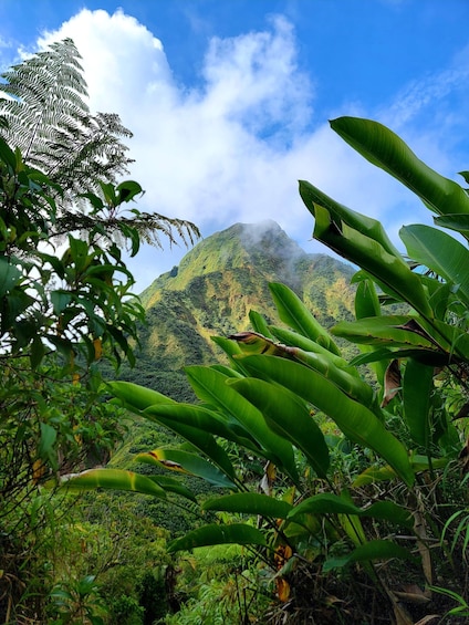 A lush mountain landscape with dense foliage and a clear sky. 1