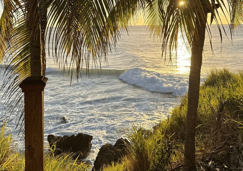 Picture 16 for Activity From San Juan: Full-Day West Coast Beaches & Rincón Sunset 5