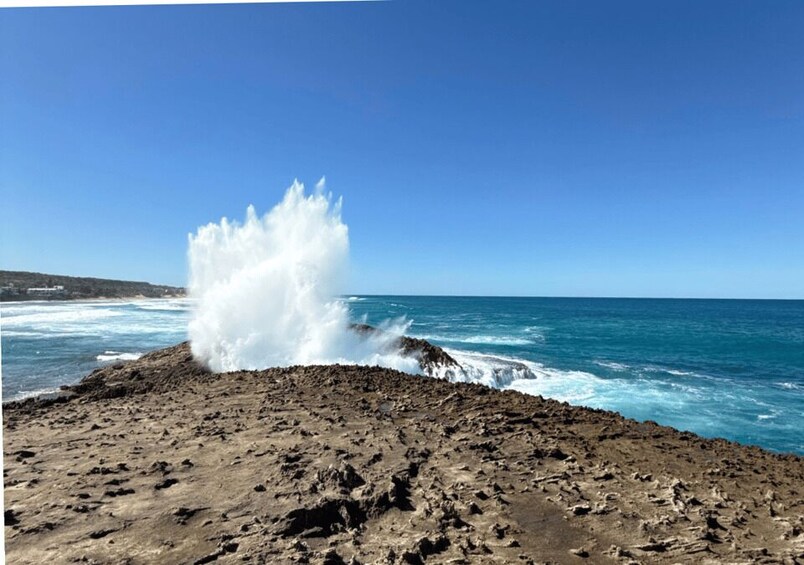 Picture 7 for Activity From San Juan: Full-Day West Coast Beaches & Rincón Sunset 2