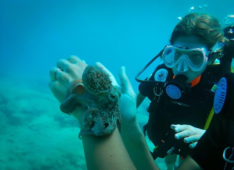 A diver holding a sea creature underwater. 5