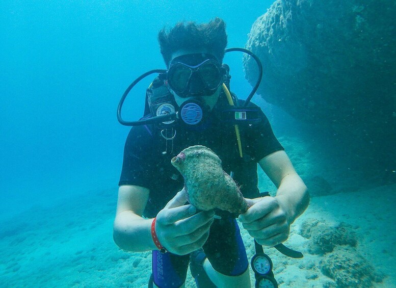 A diver holding a small fish underwater. 2