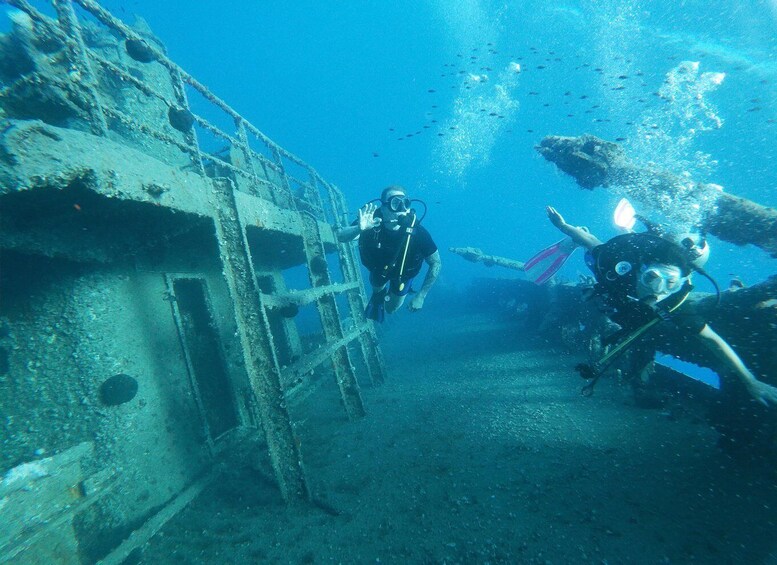 Two divers exploring an underwater wreck with visible structural elements and marine life. 4