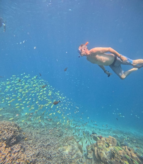 Picture 41 for Activity Private Gili Air Snorkeling Tour by Bangsal Ferries 2