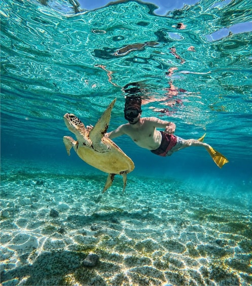 Gili Air: Private Snorkeling Tour with Sea Turtles & GoPro 1