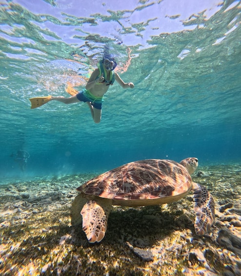Picture 77 for Activity Private Gili Air Snorkeling Tour by Bangsal Ferries 5