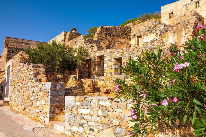 A stone building with a partially collapsed roof, surrounded by greenery and pink flowers. 2