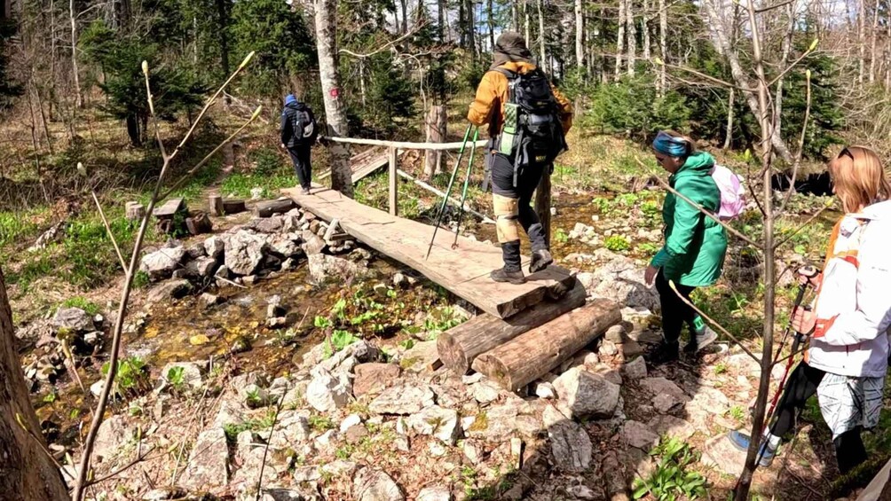 A group of hikers crossing a wooden bridge over a rocky stream in a forest. 5