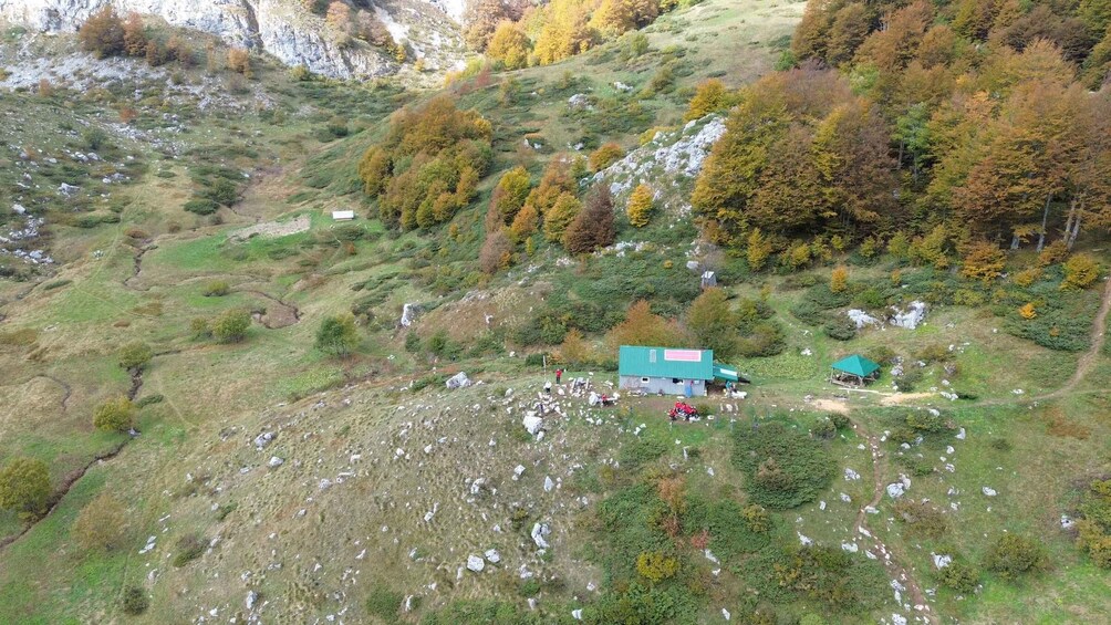 A rural landscape with a green-roofed building, scattered rocks, and trees with autumn foliage. 2
