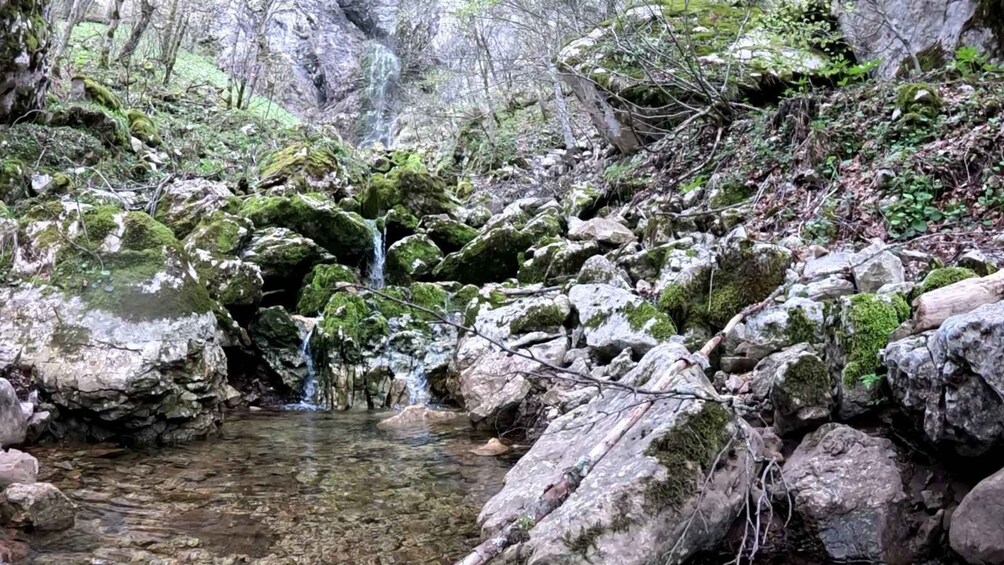 A clear stream flowing over rocks with moss, surrounded by forest. 4