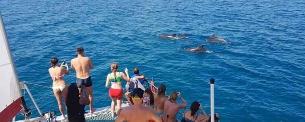 Picture 2 for Activity From Kantaoui : Private Catamaran Cruise with Snorkeling 5