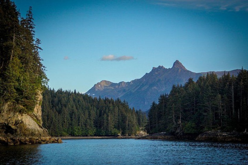 A lake surrounded by dense forest and mountains. 3
