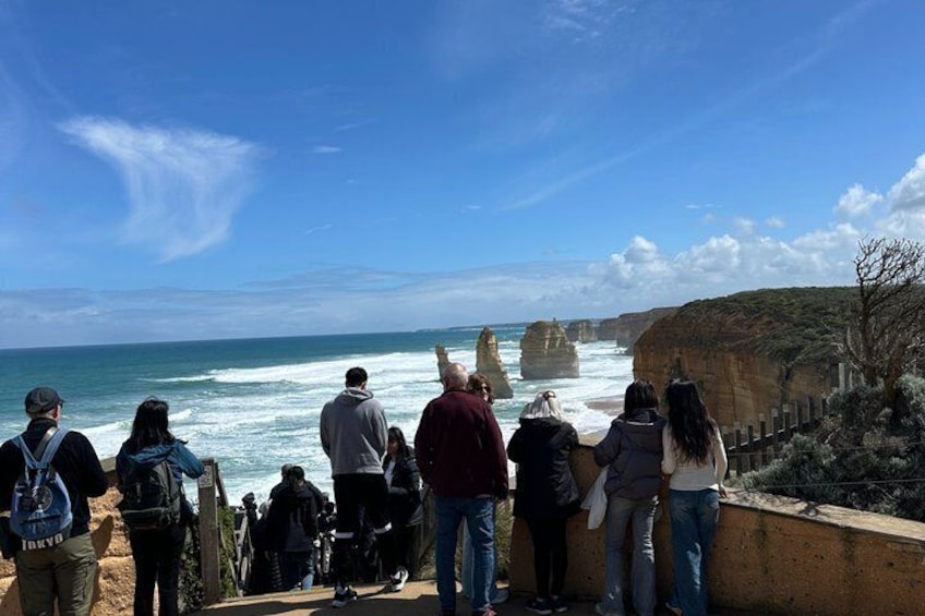 Great Ocean Road Boutique Eco Tour small Group melbrne hotel pick 4