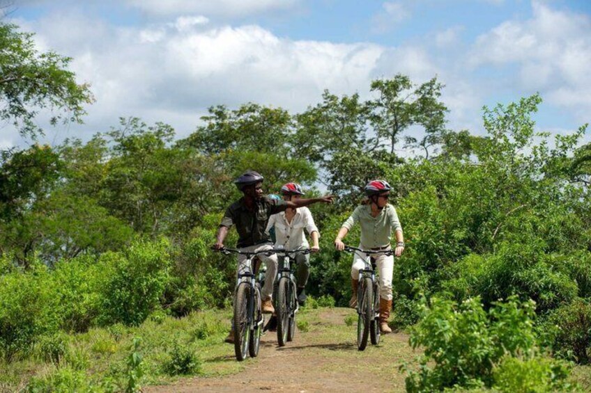 8 Days Famous Kenya Big 5 Private Wildlife Safari 4