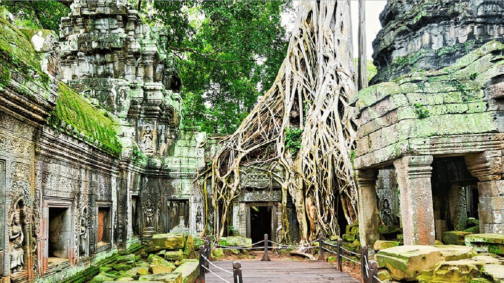 Picture 8 for Activity Private Angkor Wat Tour – Japanese Live Guide 5