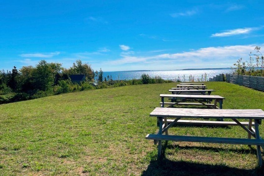 A grassy area with picnic tables and a view of the water. 1
