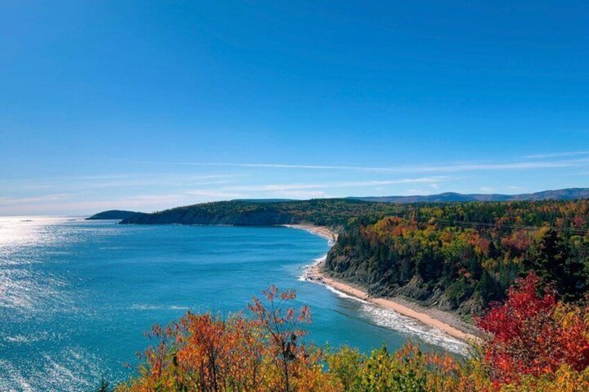 A coastal landscape with a clear blue sea, a sandy beach, and autumn-colored trees. 5