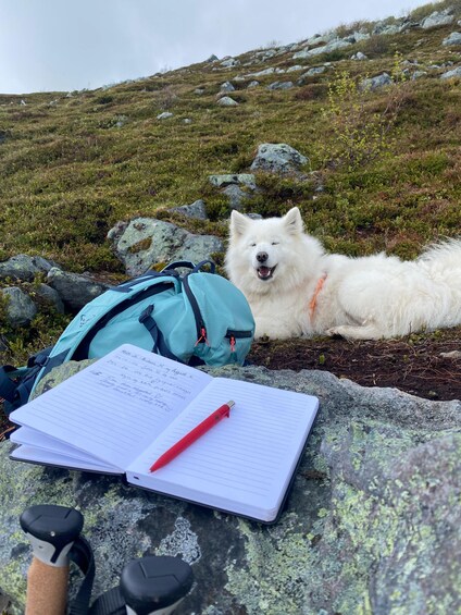 Picture 23 for Activity Lofoten Islands: Guided Hiking Into the Wilderness - Uphill 4