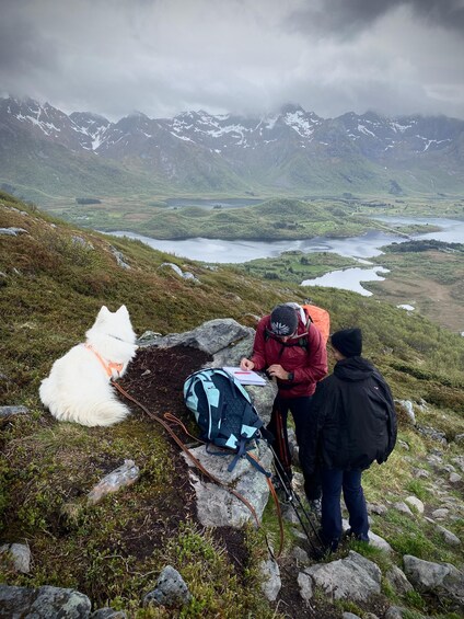 Picture 24 for Activity Lofoten Islands: Guided Hiking Into the Wilderness - Uphill 2