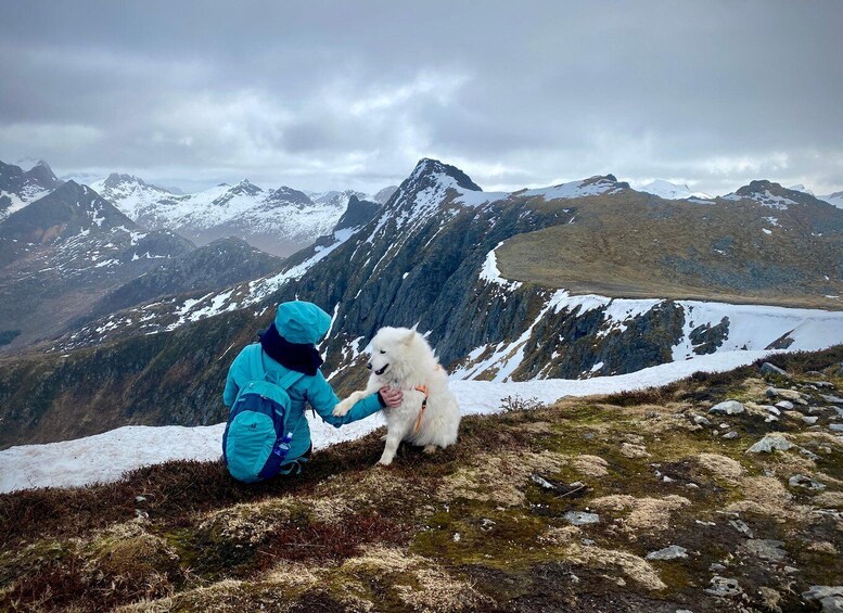 Picture 21 for Activity Lofoten Islands: Guided Hiking Into the Wilderness - Uphill 4