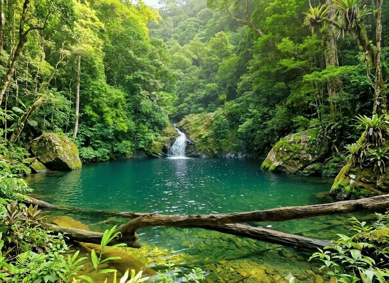 A waterfall in a lush green forest. 4