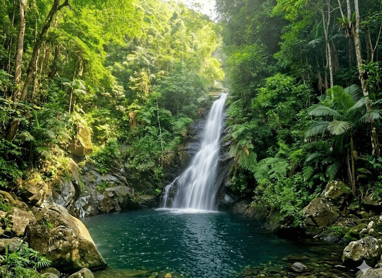 A waterfall in a lush forest with dense foliage and a clear pool at its base. 1