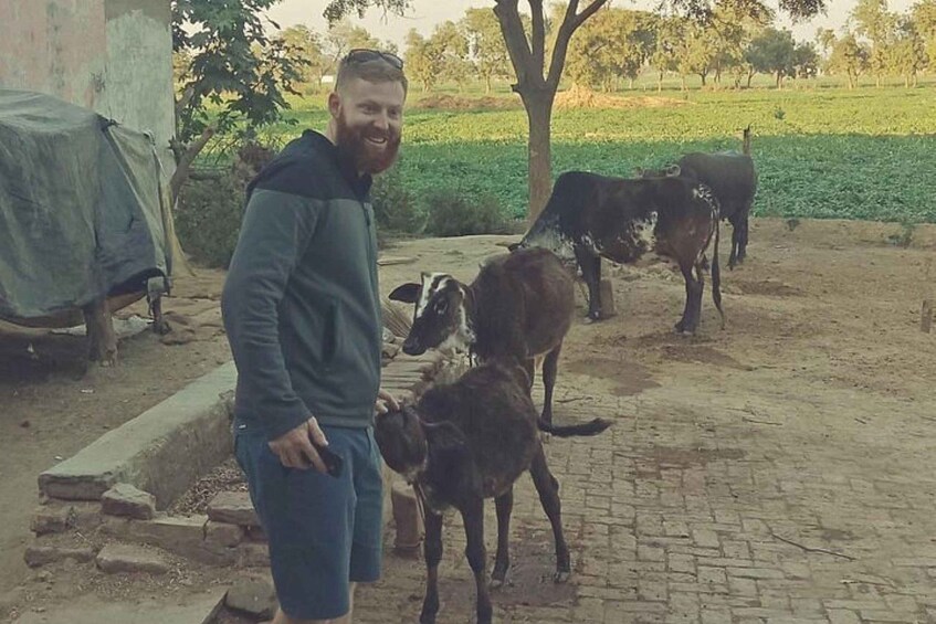 Une personne se tient debout, accompagnée de deux chèvres et de deux vaches, dans un paysage rural. On aperçoit un chemin pavé de briques et de la verdure en arrière-plan. 2