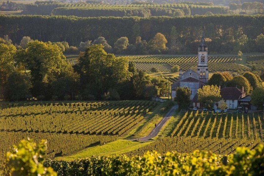 Un vignoble avec des rangées de vignes, une église dotée d’un clocher et une route menant aux bâtiments. 3