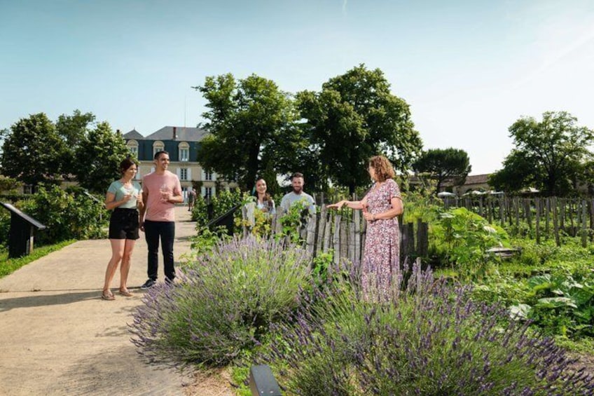 Un jardin agrémenté de plantes de lavande et doté d’une clôture en bois. 1