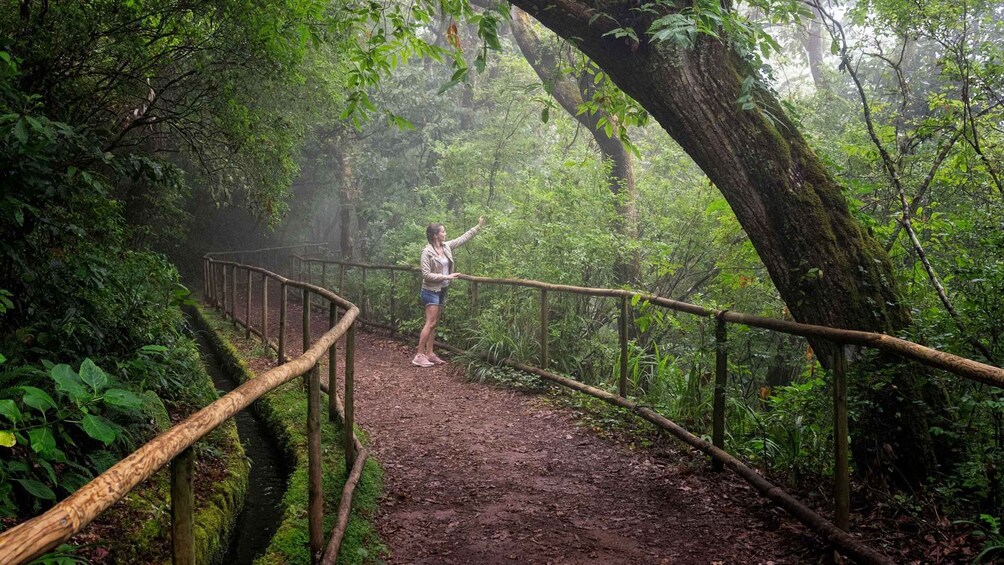 A person standing on a wooden bridge in a forest. 4