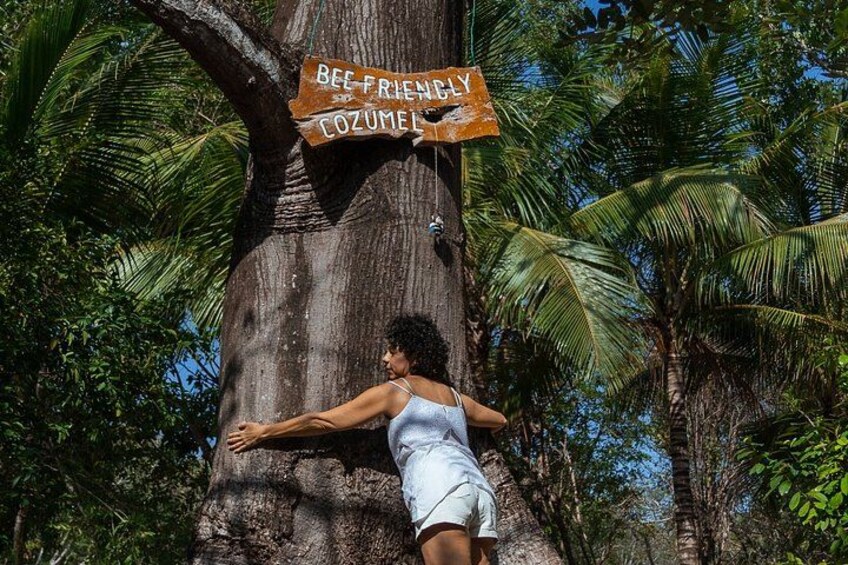 Artisan Secrets of Cozumel Cocoa Honey and Spicy 3