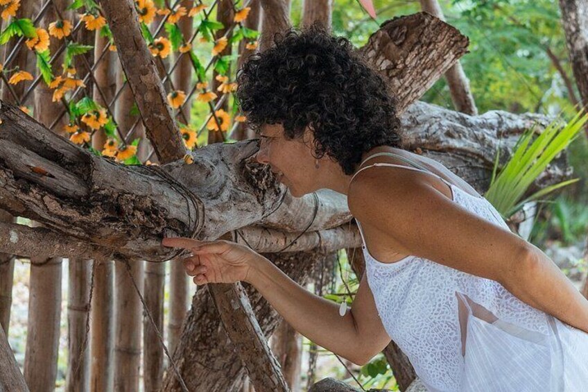 Artisan Secrets of Cozumel Cocoa Honey and Spicy 3