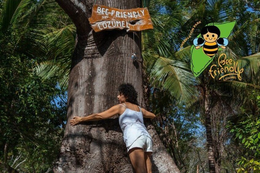 Artisan Secrets of Cozumel Cocoa Honey and Spicy 1