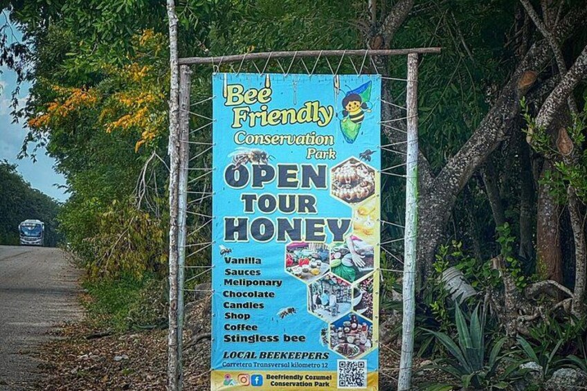 Artisan Secrets of Cozumel Cocoa Honey and Spicy 5