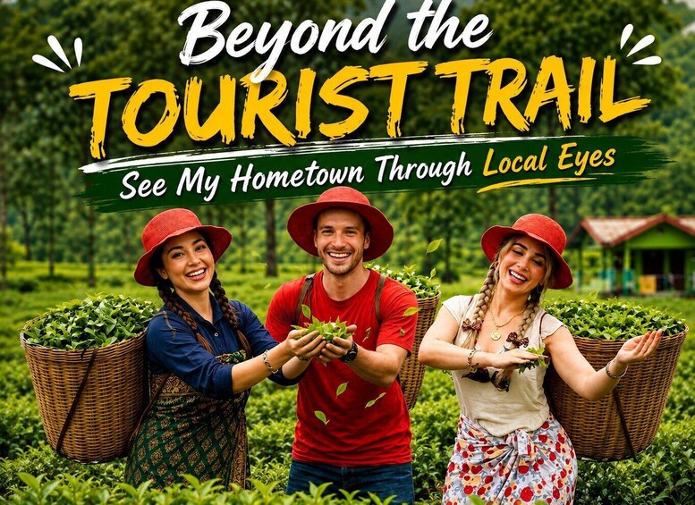 Nuwara Eliya Local-Led Tea Plucking Tea Tasting & Waterfalls 1