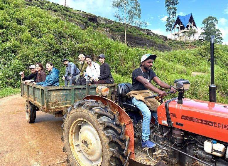Picture 7 for Activity Nuwara Eliya Unique Local Tea Plucking -Tasting & Waterfalls 4