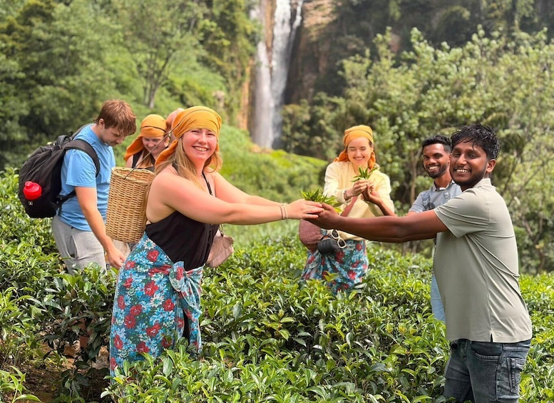 Picture 4 for Activity Nuwara Eliya Local-Led Tea Plucking Tea Tasting & Waterfalls 4