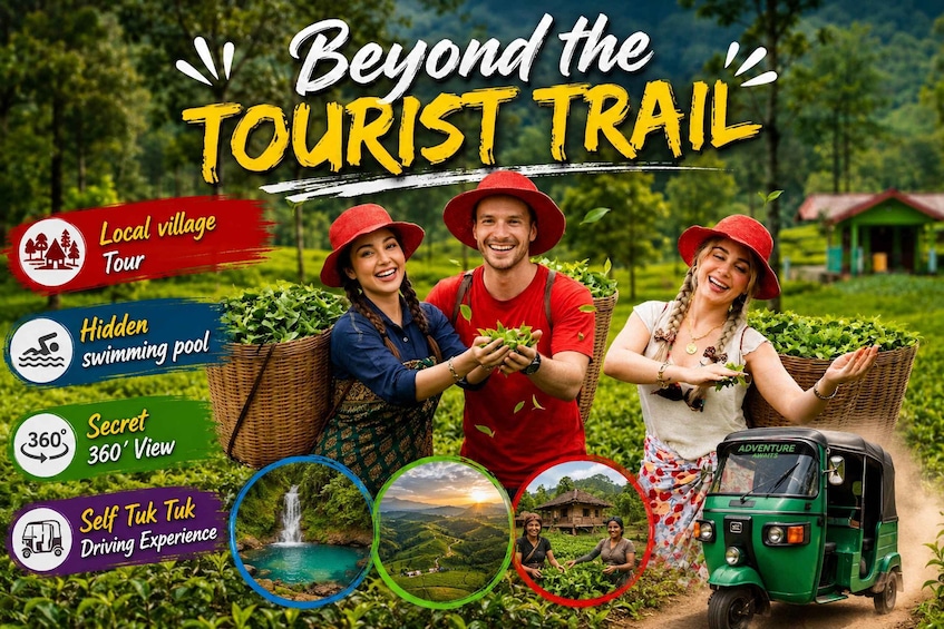 Nuwara Eliya Local-Led Tea Plucking Tea Tasting & Waterfalls 1