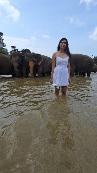 Picture 33 for Activity From Kandy: Pinnawala Elephants & Ambuluwawa Tower Day Tour 3