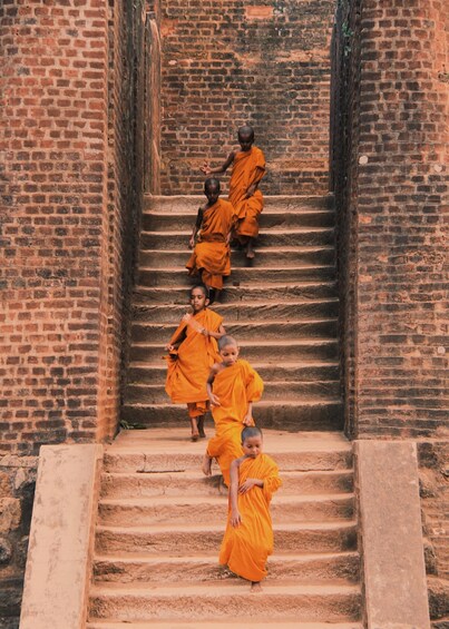 Picture 6 for Activity Sri Lanka 11 Day Tour Guided with Meals & Transfers 4