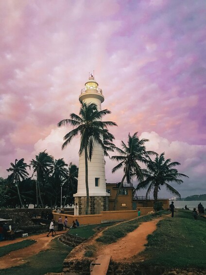Picture 7 for Activity Sri Lanka 11 Day Tour Guided with Meals & Transfers 2
