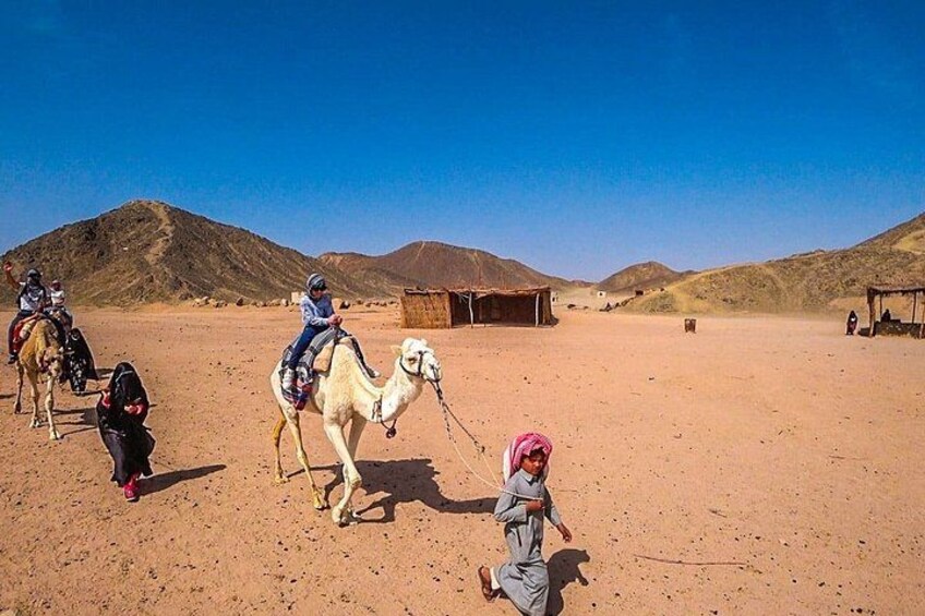 Hurghada: Super Safari Quad Biking, Bedouin Village & Dinner Show 3