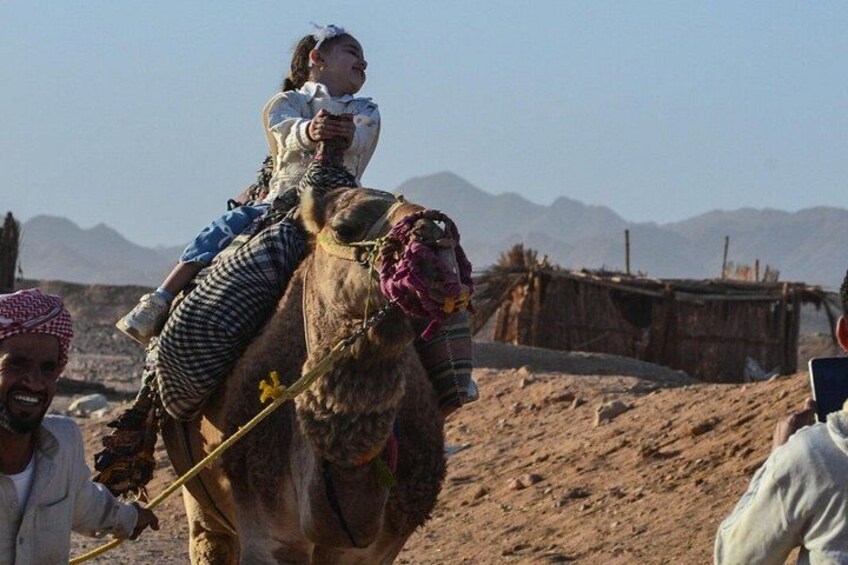 Hurghada: Super Safari Quad Biking, Bedouin Village & Dinner Show 2