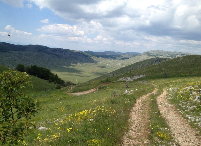 Picture 10 for Activity From Ohrid: Galičica Jeep safari with BBQ | Lale Tours 2