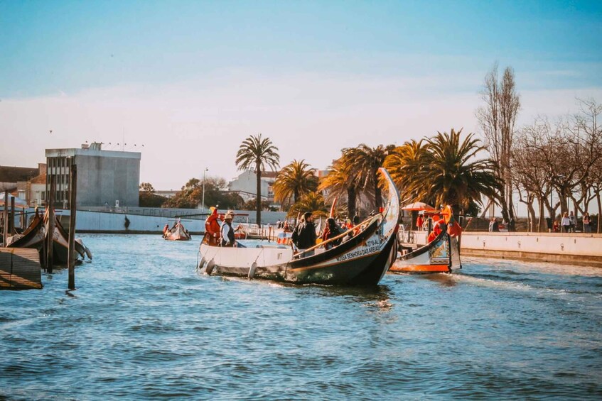 Un bote con pasajeros, una orilla, palmeras y un edificio al fondo. 4