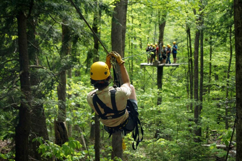 A person in a forest, wearing a helmet and harness, preparing for a zip-lining activity. 1
