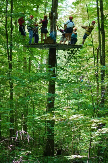 A group of people on a platform in a forest with trees and a wooden structure. 5